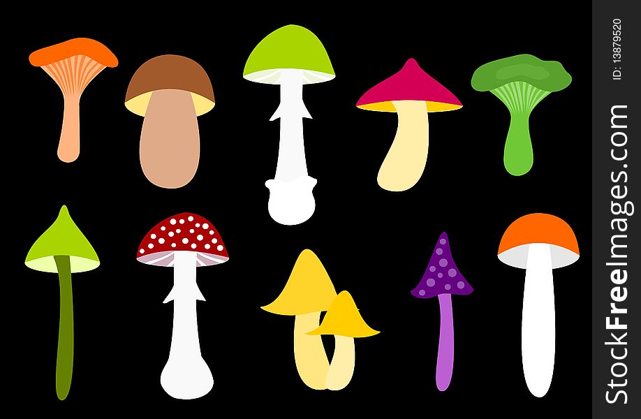 Illustration of edible and poisonous mushrooms. Illustration of edible and poisonous mushrooms