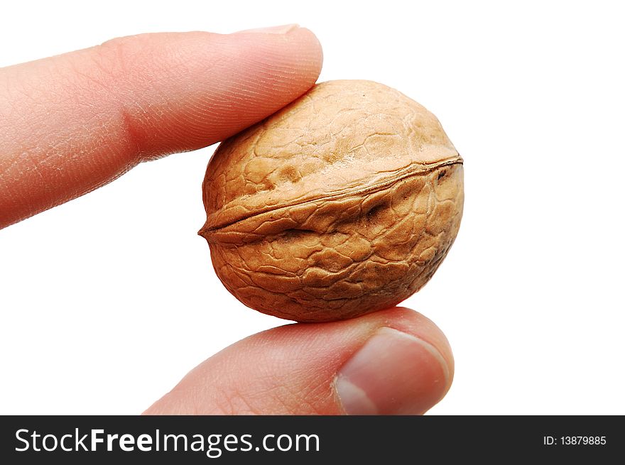 Nut In Fingers