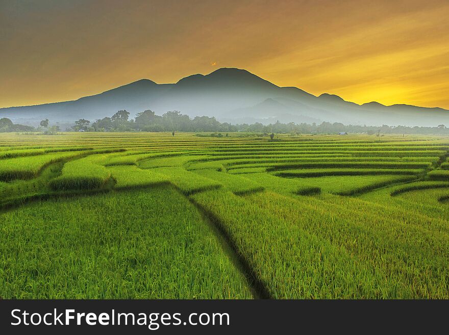 Morning sky at rice fields in north bengkulu indonesia, beauty nature color and time in the morning, simple shoot with amazing place. Morning sky at rice fields in north bengkulu indonesia, beauty nature color and time in the morning, simple shoot with amazing place