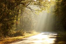 Country Road Through A Misty Autumn Forest At Sunrise Royalty Free Stock Photo Country Road Through A Misty Autumn Forest At Sunrise Royalty Free Stock Photo