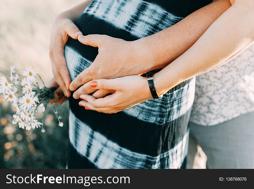 Young Pregnant Woman Holds Her Hands on Her Swollen Belly, Love Concept. Young Pregnant Woman Holds Her Hands on Her Swollen Belly, Love Concept.