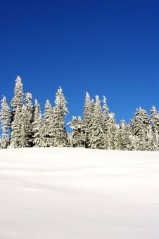 Snow Covered Mountain Stock Images