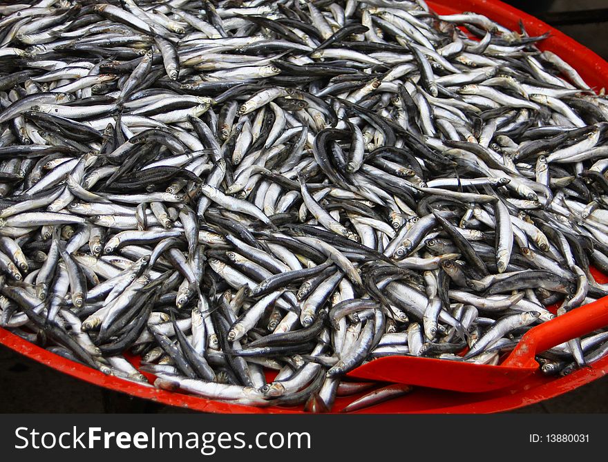 Bulk of fresh sprats on a market stall