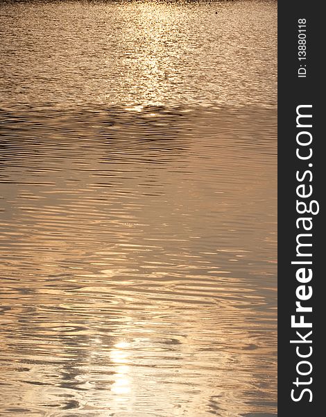 Solar Reflexions In Water