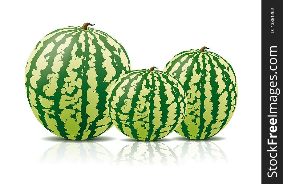 Three vector of watermelon on white background