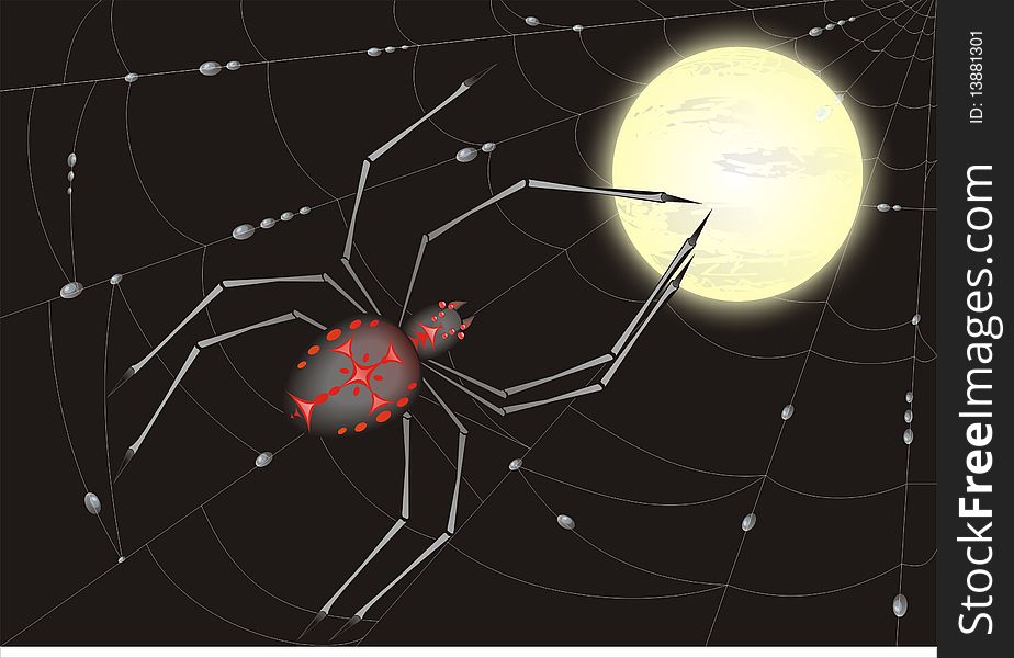 Spider on a background a moon