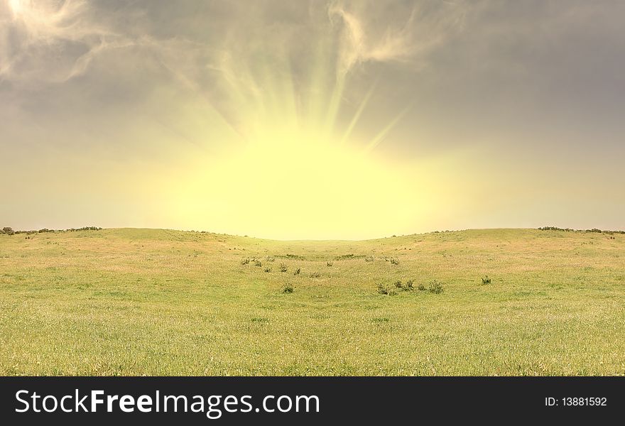 Field landscape with a lonely tree on the right and clouds on the sky