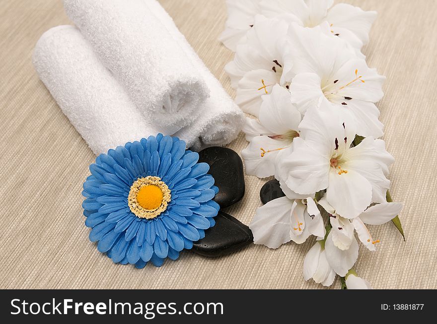 Towels; rocks; flower and blue gerber daisy. Towels; rocks; flower and blue gerber daisy