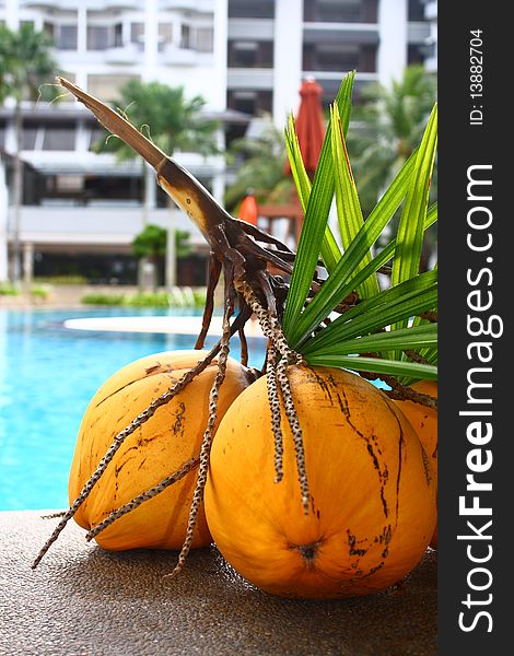 Yellow an young coconuts at a hotel poolside for display