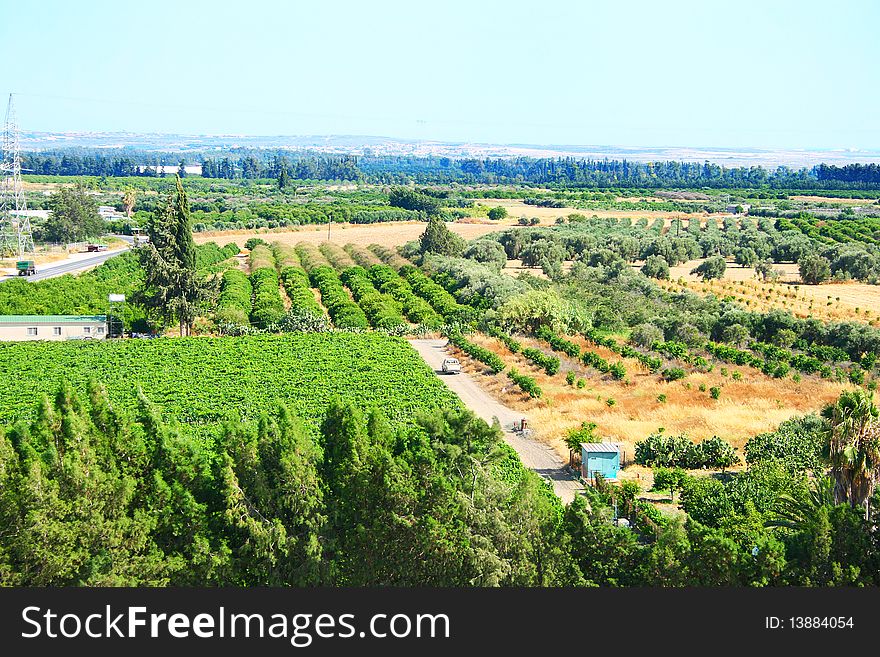 Cyprus landscape with gardens,plantations,road and cars.