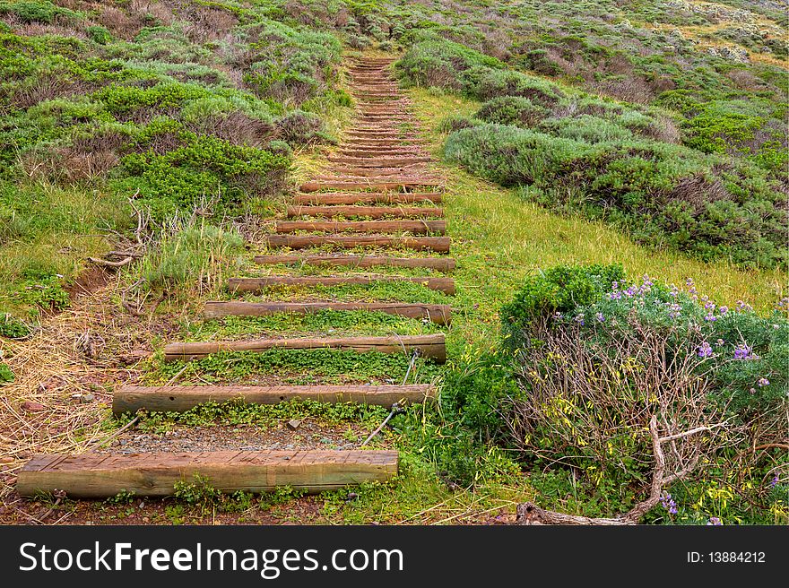 Man made trail steps in Marin Headlands Park, California. Man made trail steps in Marin Headlands Park, California.