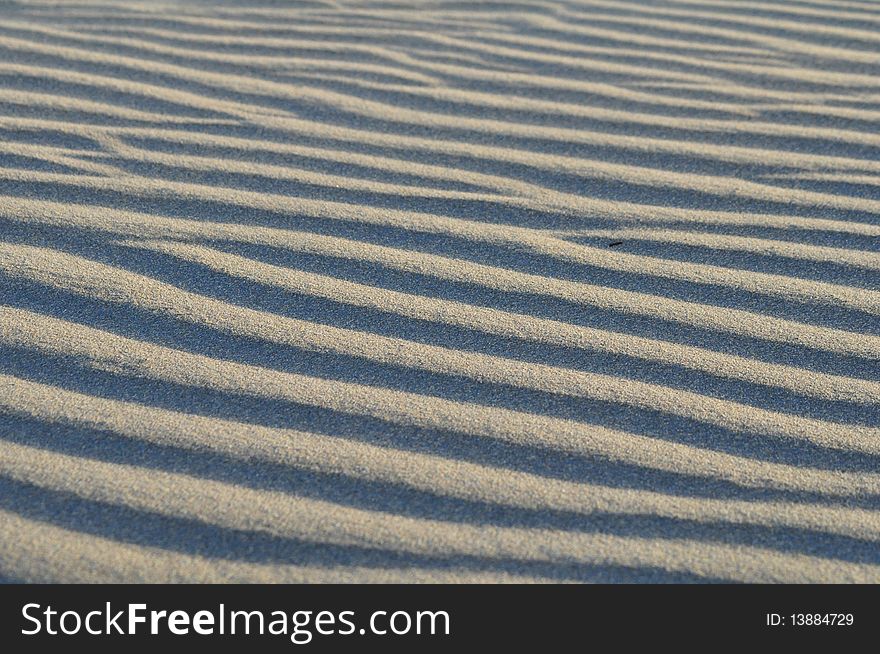Shadow And Light In Sand