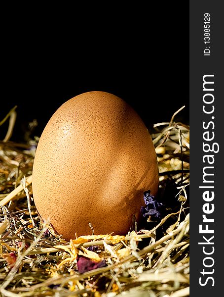 Closeup of a brown farm egg surrounded by natural materials. Vertical shot. Closeup of a brown farm egg surrounded by natural materials. Vertical shot.