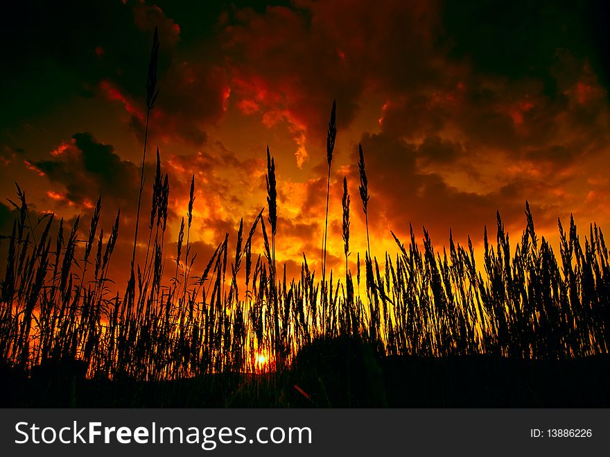 Landscape, detail at sundown with dramatic clouds. Landscape, detail at sundown with dramatic clouds