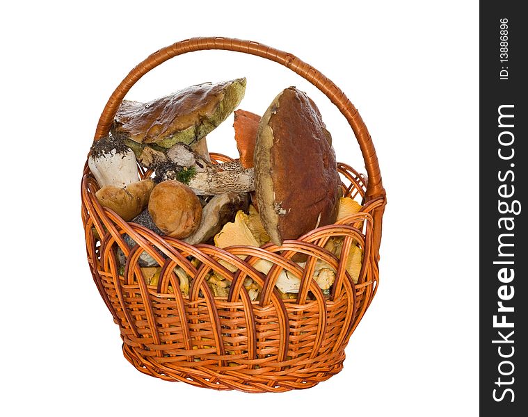 Isolated basket of mushrooms