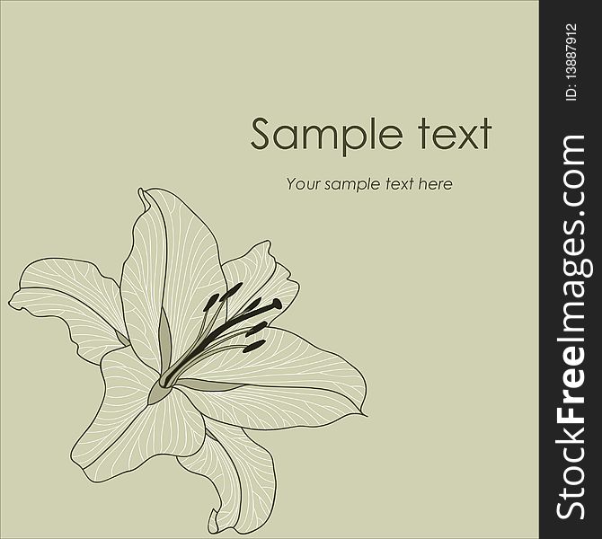 Vector background with lily and space for text. Vector background with lily and space for text