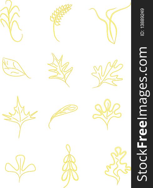 Vector illustration yellow leafs,spica and grass, autumn color
