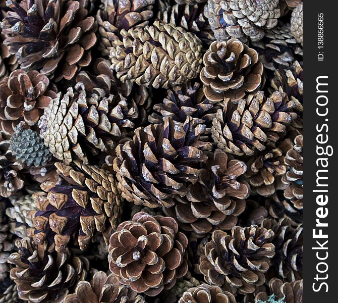 Pine cones in a wicker basket for sale, used as decoration