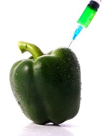 Green Pepper Royalty Free Stock Photo