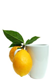Lemons And Mug Royalty Free Stock Photos Lemons And Mug Royalty Free Stock Photos
