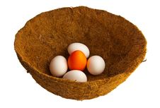 Eggs In A Nest Stock Images