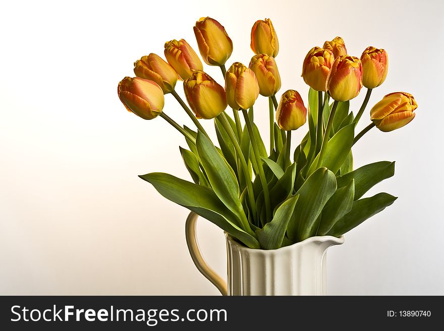 Orange and red tulips in cream jug on a plain background. Orange and red tulips in cream jug on a plain background