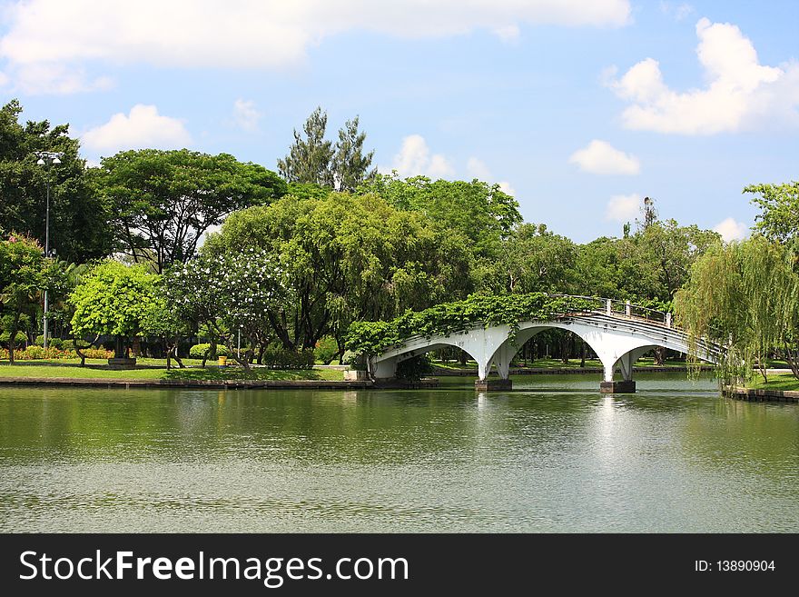 The bridge, tree, sky in public park. The bridge, tree, sky in public park