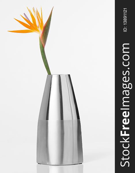 Bird of paradise in a silver vase. Bird of paradise in a silver vase.