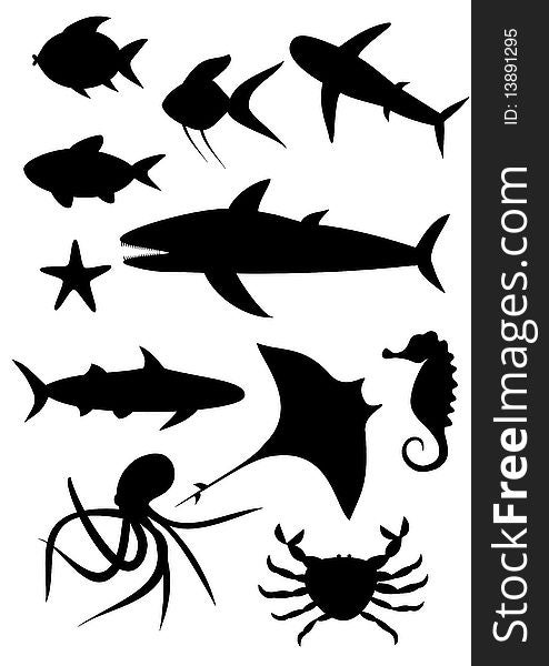 Silhouettes of sea animals - shark, fish, ray-fish, starfish, crab, octopus, hippo-campus. Silhouettes of sea animals - shark, fish, ray-fish, starfish, crab, octopus, hippo-campus