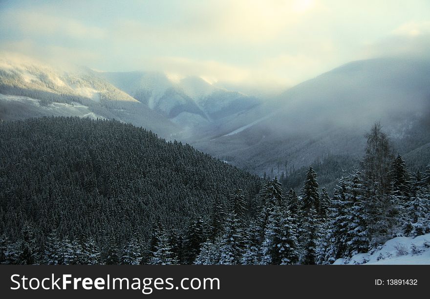 Snow misted mountains in winter. Snow misted mountains in winter