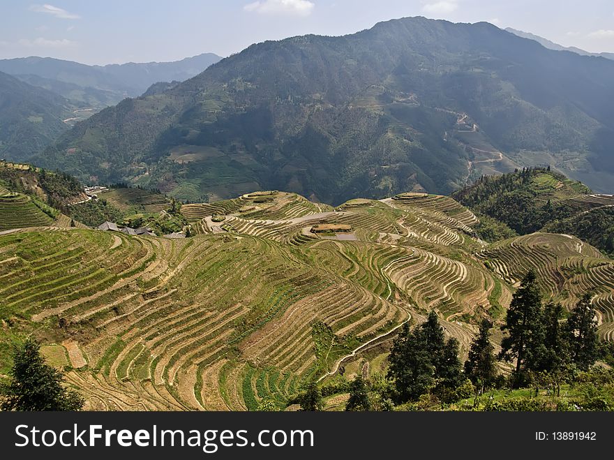Flooded rice terraces scenic area view