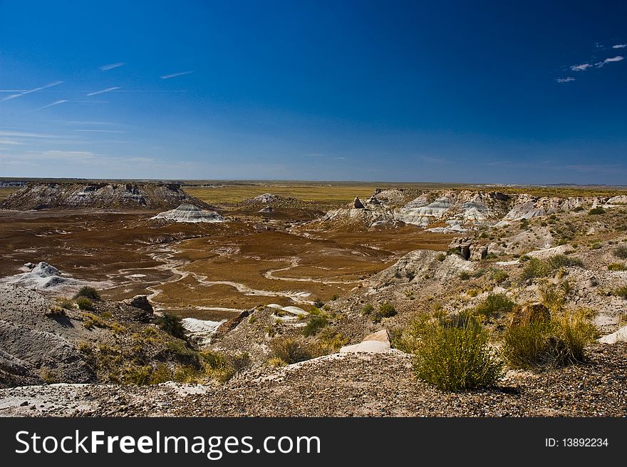 Landscape of Petrified Forest, Ariz, USA