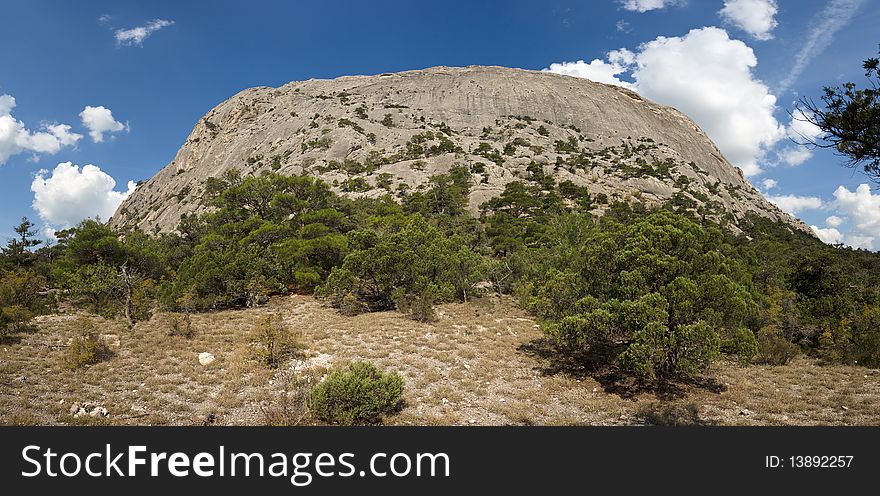 Crimea mountains with pine trees and juniper under blue sky. Crimea mountains with pine trees and juniper under blue sky