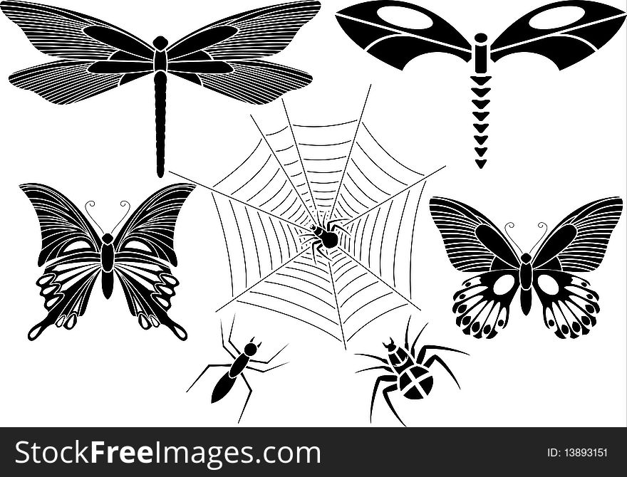 Set Of Insects