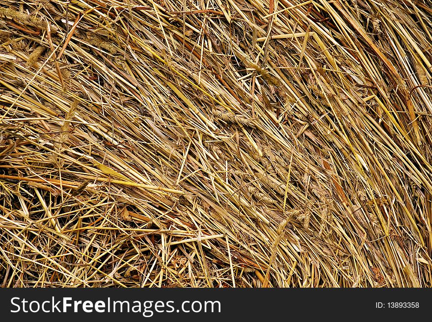 Hay and straw photographed close-up