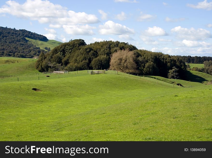 Green fields and trees, rural  landscape. Green fields and trees, rural  landscape.