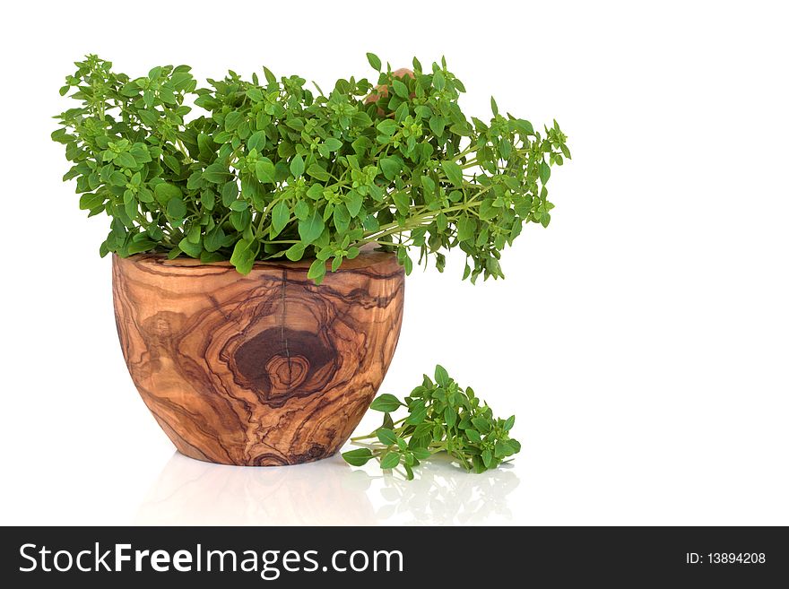 Sweet Italian basil in an olive wood mortar with pestle, isolated over white background with reflection. Sweet Italian basil in an olive wood mortar with pestle, isolated over white background with reflection.