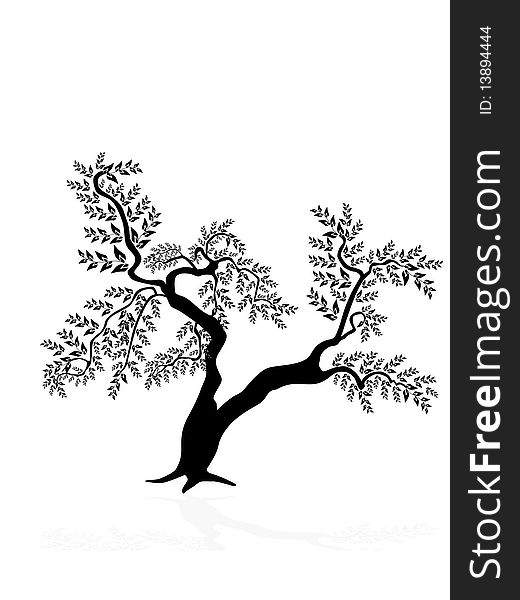 Abstract silhouette of beautiful tree. Abstract silhouette of beautiful tree
