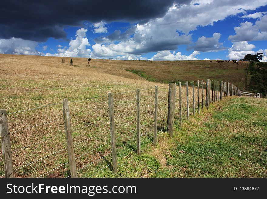 Wide meadow land panning out under cloudy sky. Wide meadow land panning out under cloudy sky