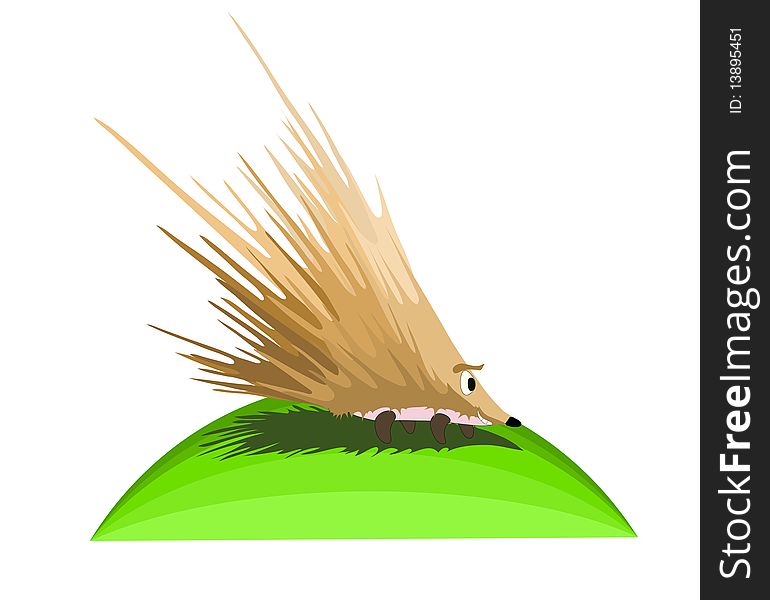 Hedgehog with large needles pretty smiles, illustration. Hedgehog with large needles pretty smiles, illustration