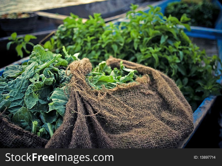 Green salad in a bag for sale on indian market.