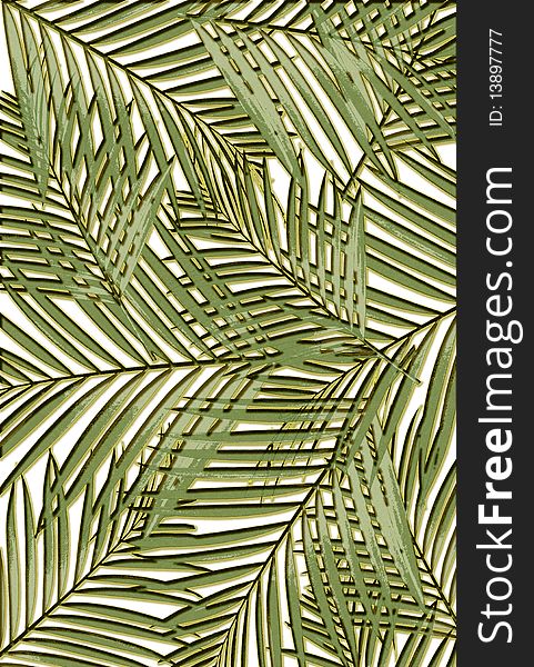 Tropical palm leaf layout with slight texture and highlights. Tropical palm leaf layout with slight texture and highlights