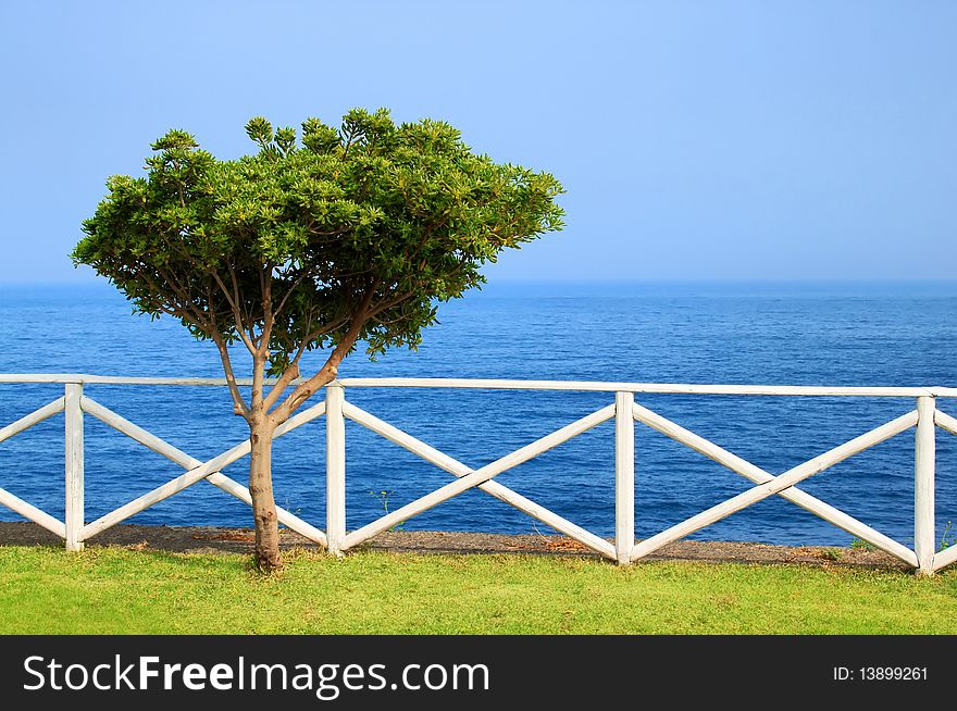 Photo about green tree with blue sky, sea and grass