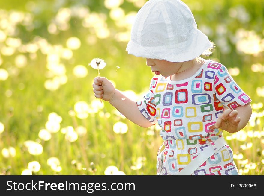 The little girl with dandelions