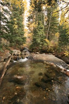 Creek In Fall With Aspens 1 Royalty Free Stock Photography Creek In Fall With Aspens 1 Royalty Free Stock Photography