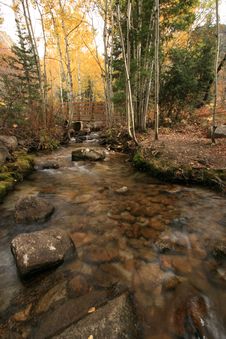Creek In Fall With Aspens 8 Stock Images Creek In Fall With Aspens 8 Stock Images