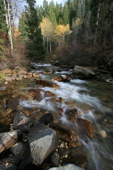 Creek In Fall With Aspens 3 Royalty Free Stock Photo Creek In Fall With Aspens 3 Royalty Free Stock Photo