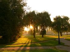 Sunset In The Park Stock Photo Sunset In The Park Stock Photo