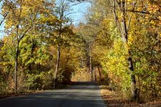 Autumn Woods Royalty Free Stock Photos Autumn Woods Royalty Free Stock Photos