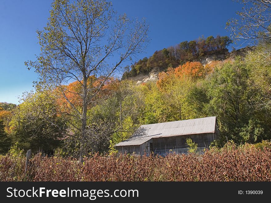 Old abandond barn nestled in the fall foliage of a white limestone bluffs in a bean field. Old abandond barn nestled in the fall foliage of a white limestone bluffs in a bean field.